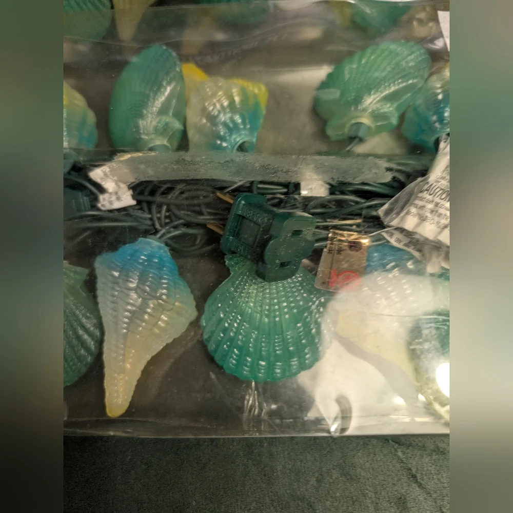 Nantucket decorative seashell